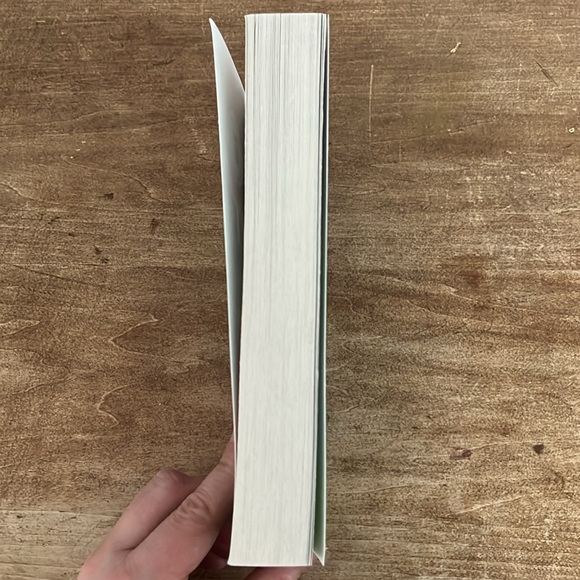 6/$30 Saint X by Alexis Schaitkin paperback book - Picture 4 of 5